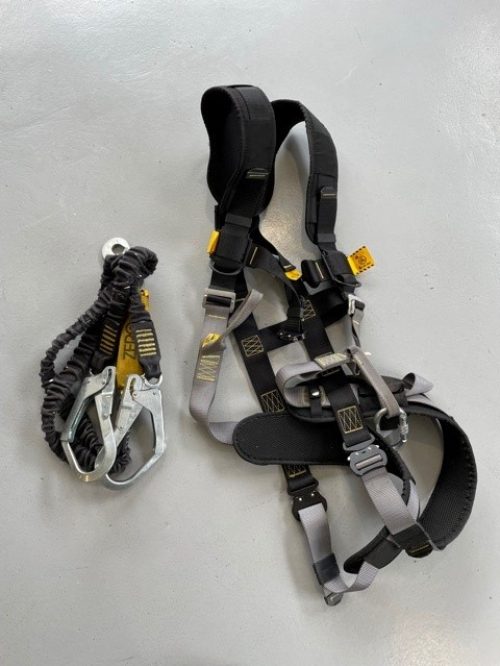 Harness and lanyard